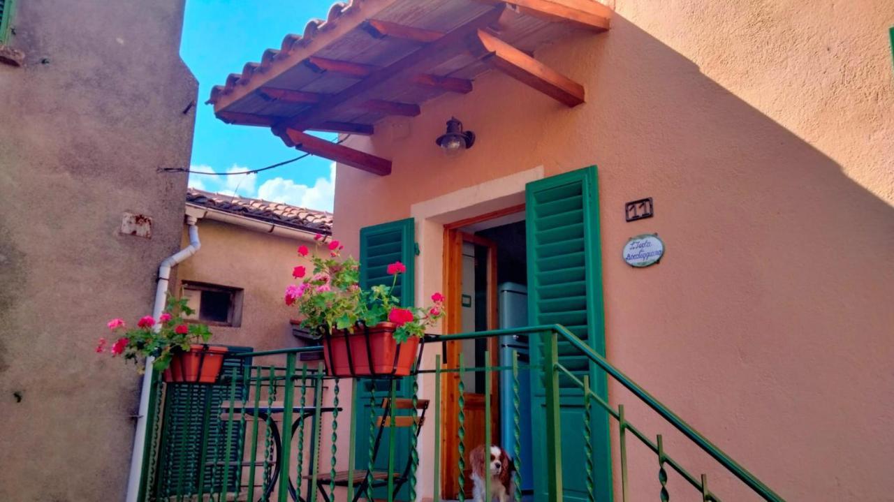 Ferienwohnung L'Isola Di Boccheggiano Exterior foto